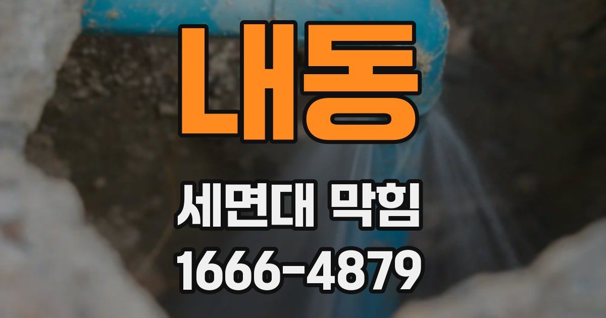 내동 세면대 막힘