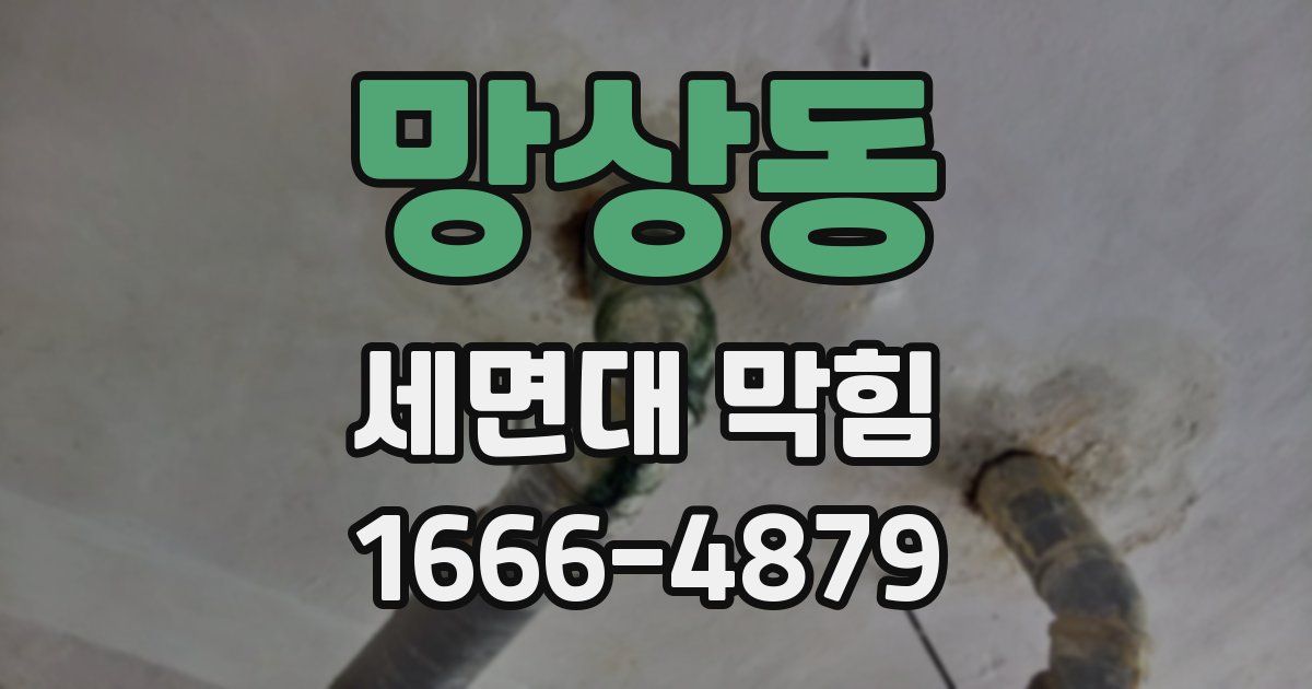 망상동 세면대 막힘