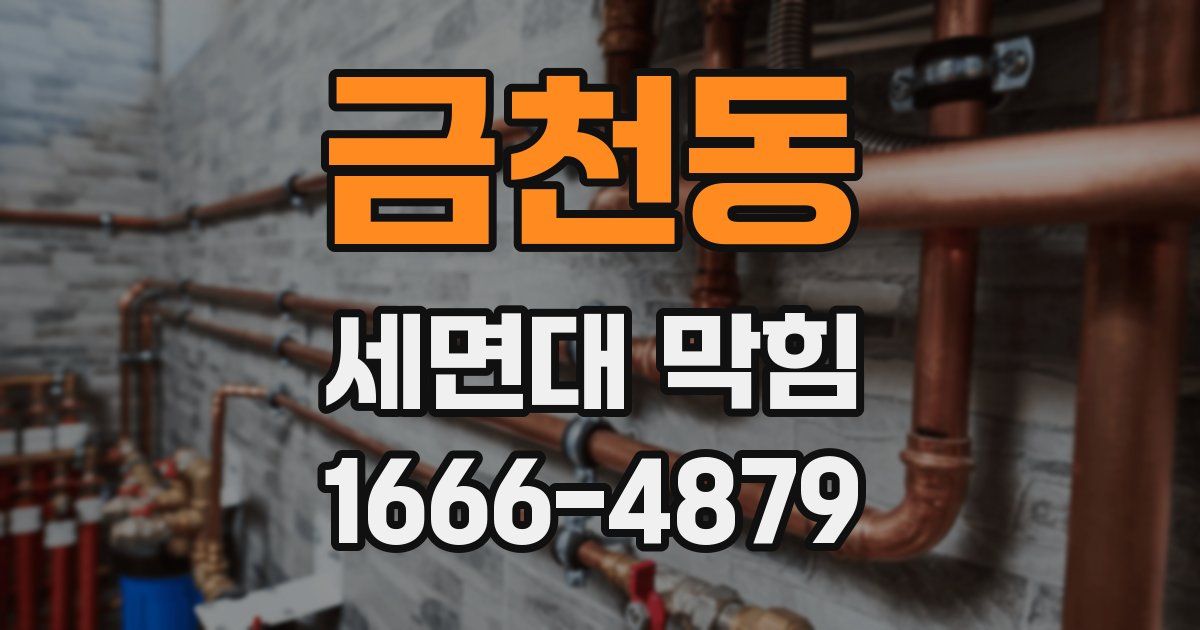 금천동 세면대 막힘