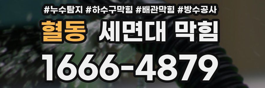 혈동 세면대 막힘