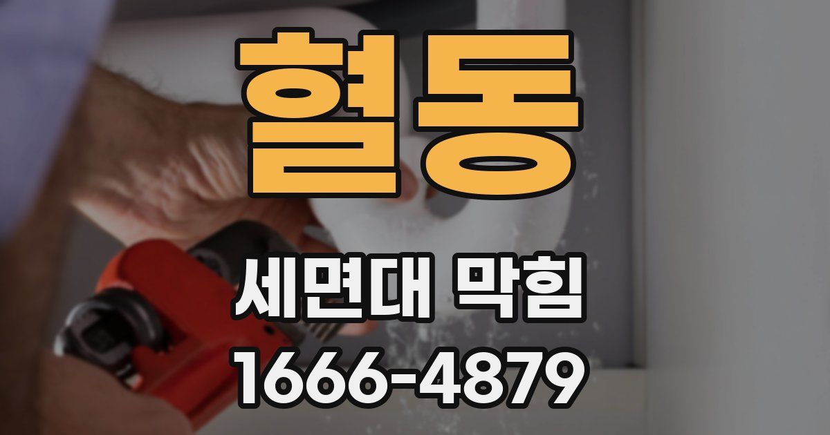 혈동 세면대 막힘
