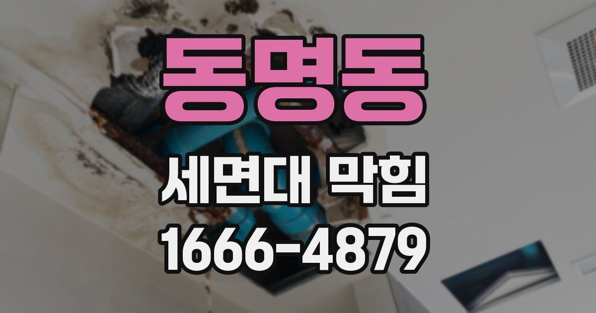 동명동 세면대 막힘
