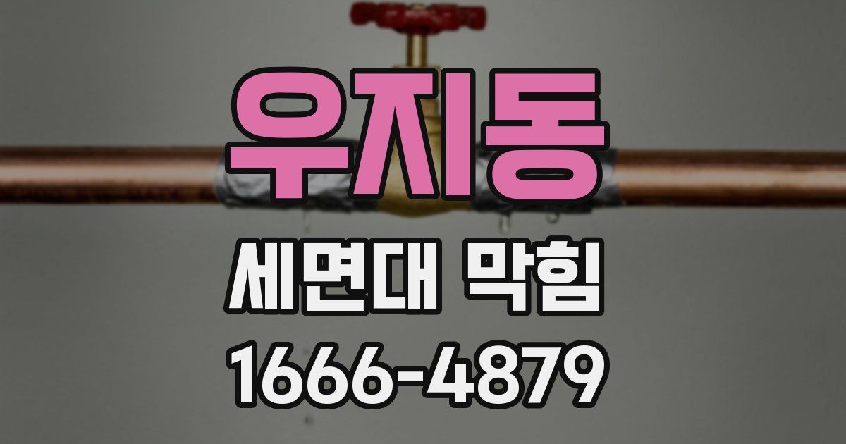 우지동 세면대 막힘
