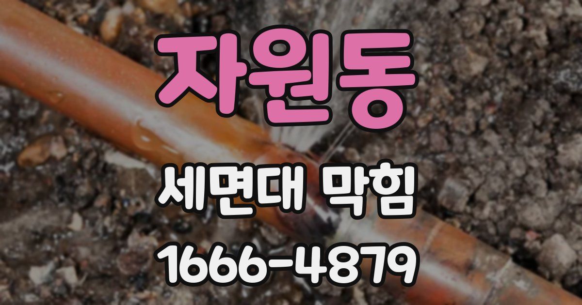 자원동 세면대 막힘