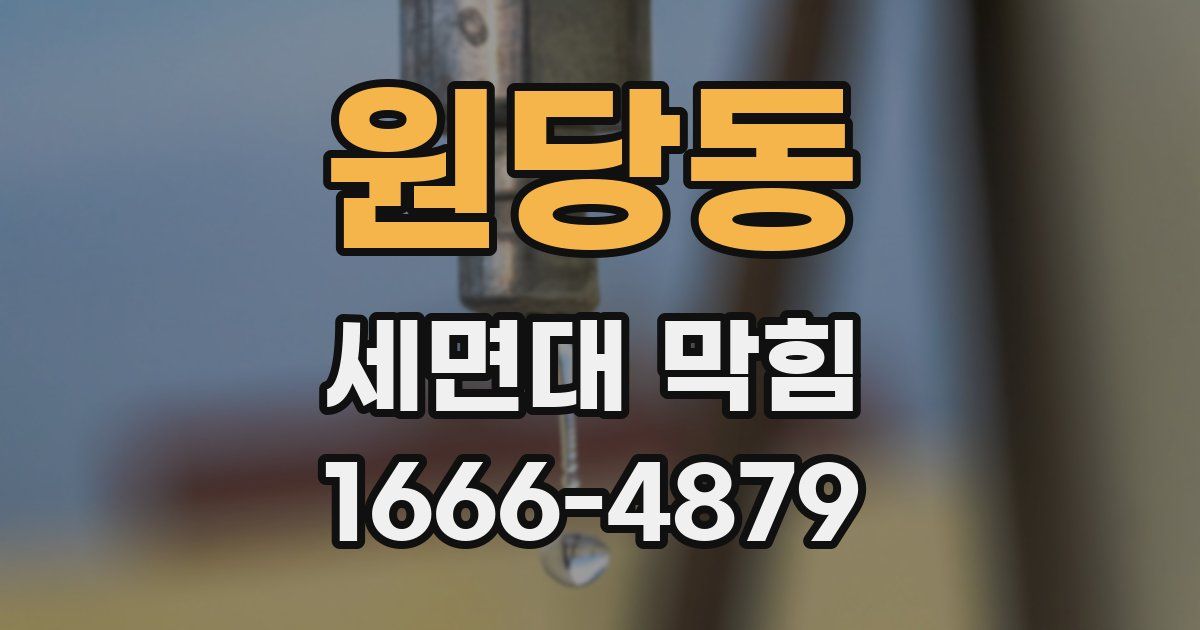 원당동 세면대 막힘