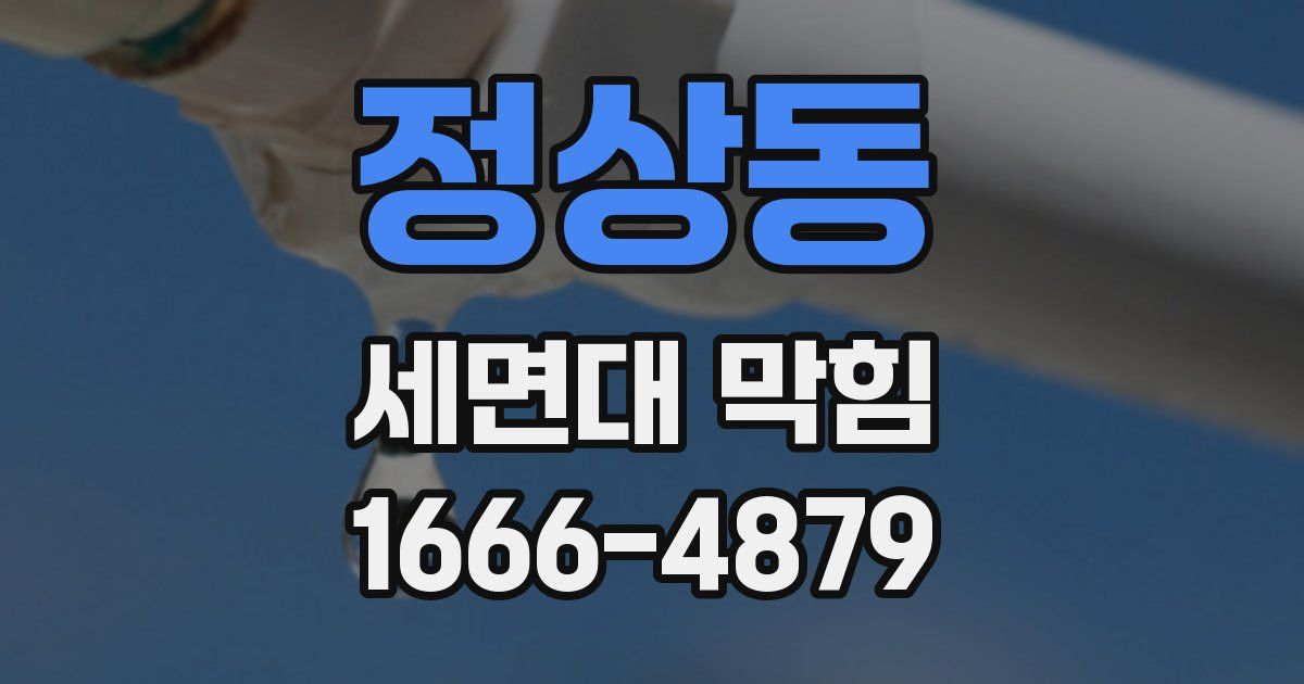 정상동 세면대 막힘