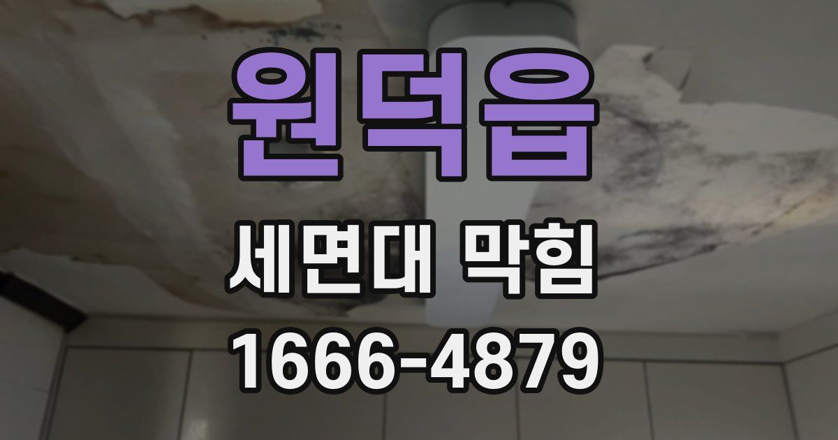 원덕읍 세면대 막힘