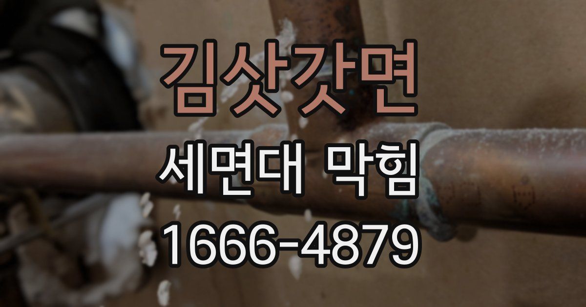 김삿갓면 세면대 막힘