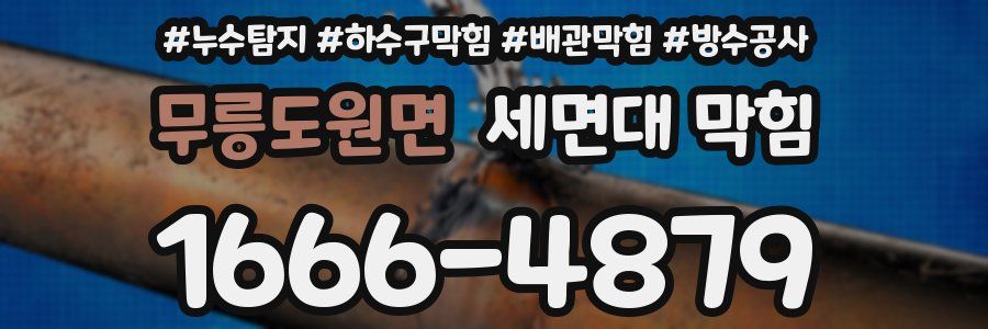 무릉도원면 세면대 막힘