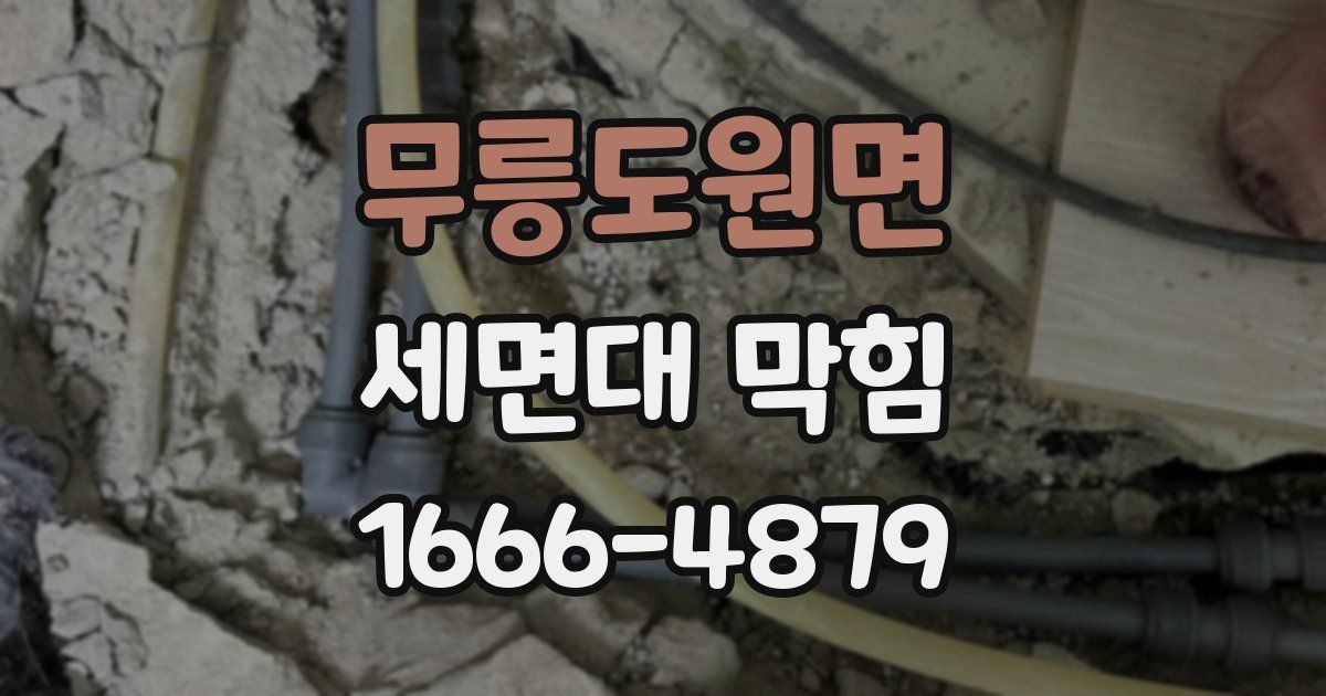 무릉도원면 세면대 막힘