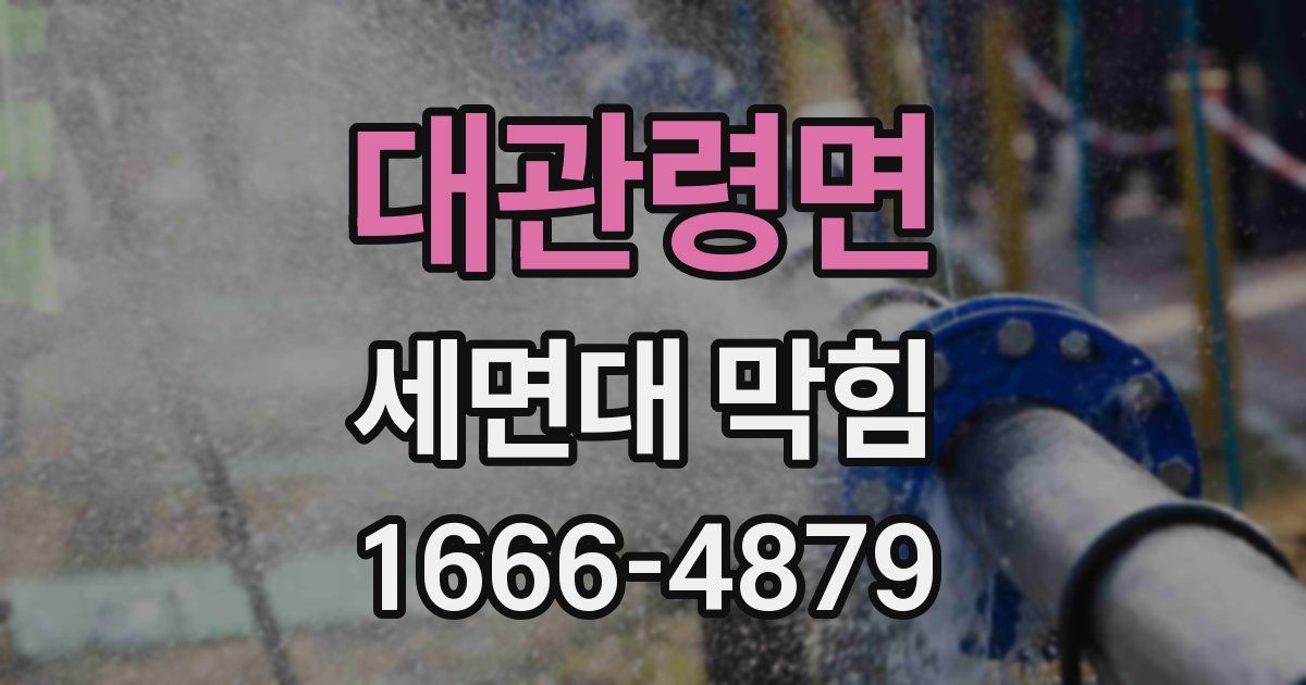 대관령면 세면대 막힘