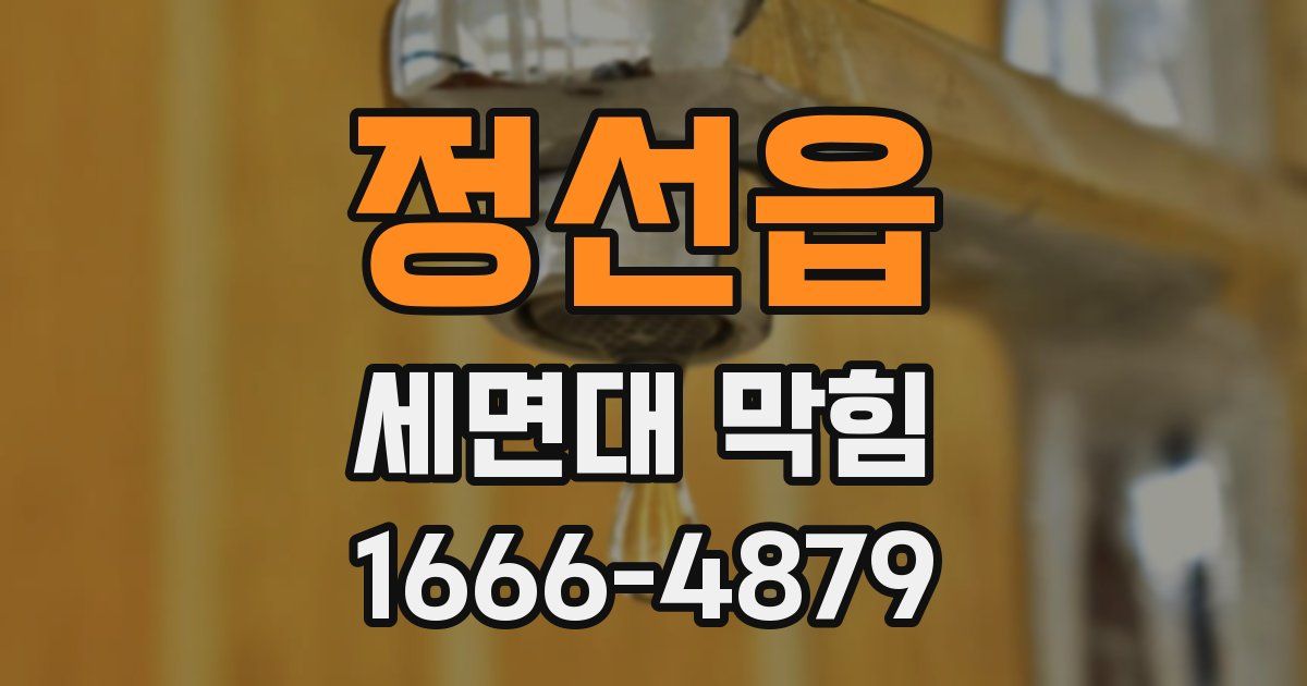 정선읍 세면대 막힘