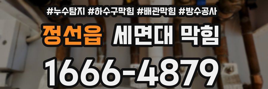 정선읍 세면대 막힘
