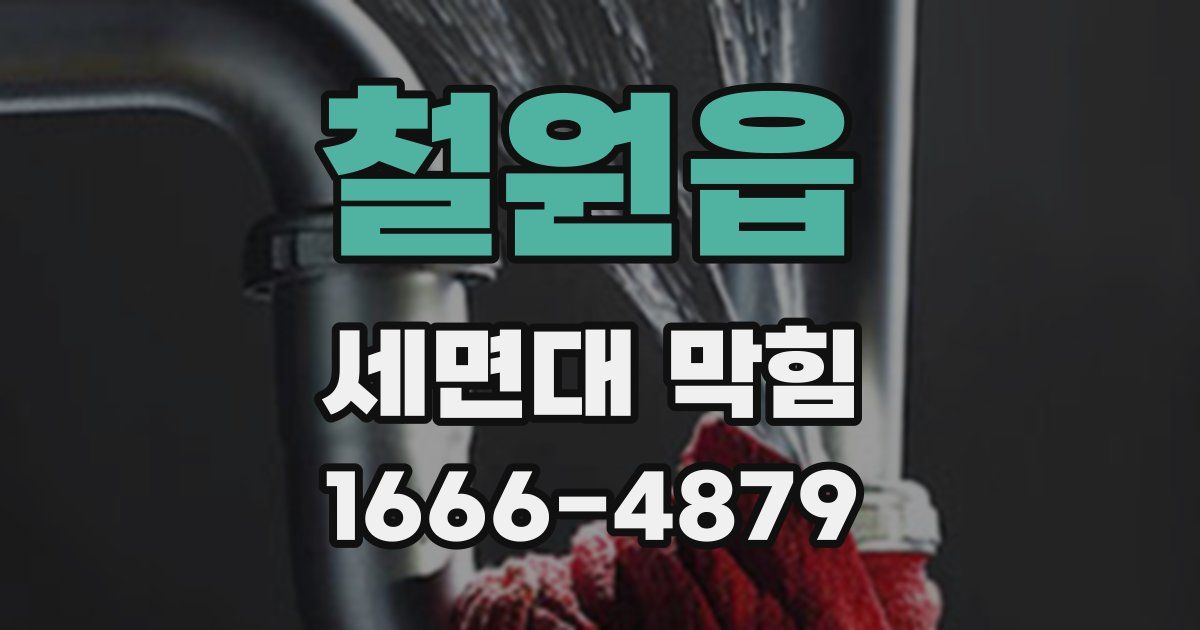 철원읍 세면대 막힘