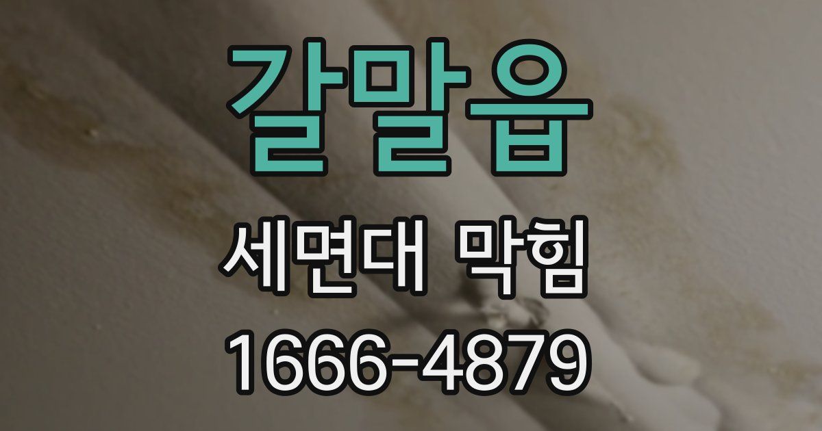 갈말읍 세면대 막힘