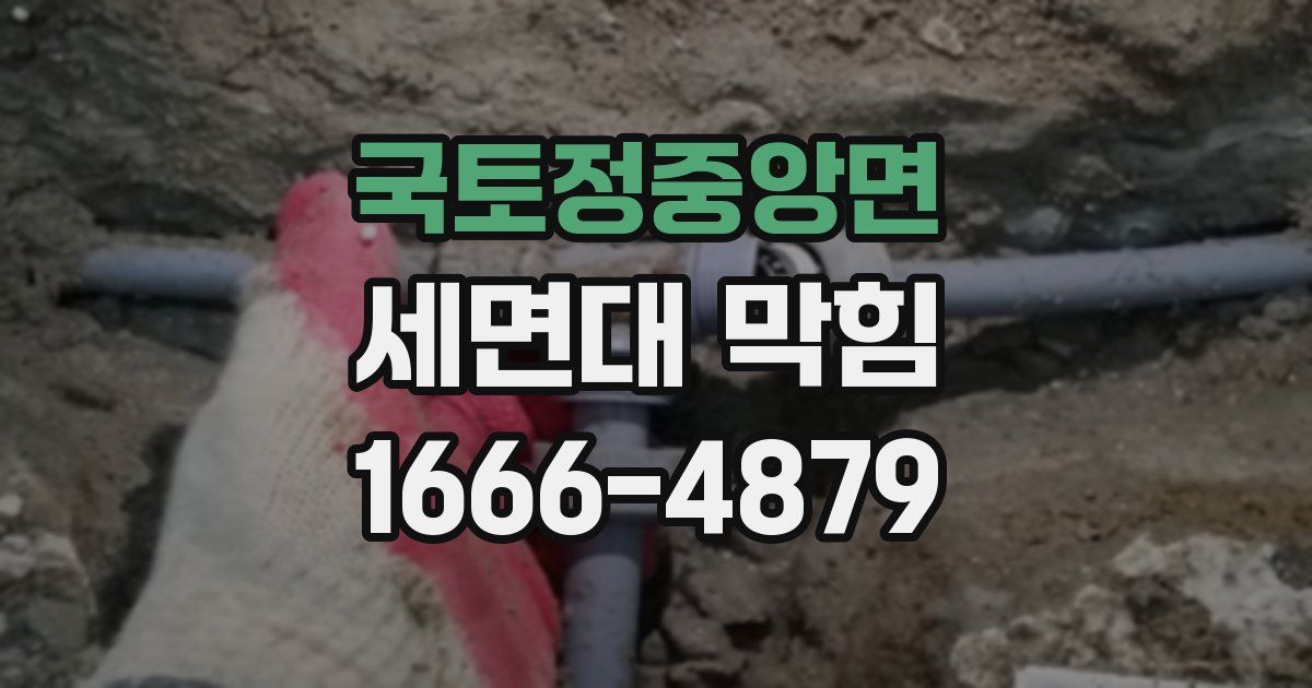 국토정중앙면 세면대 막힘