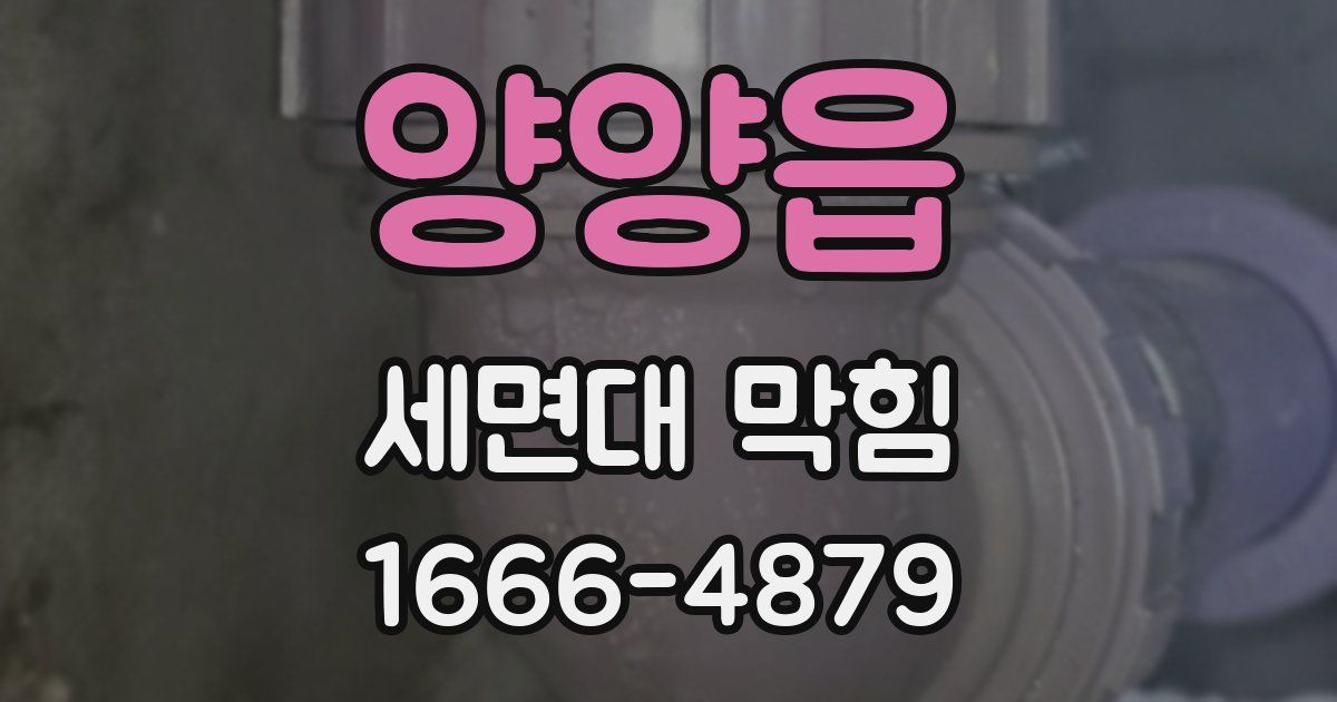 양양읍 세면대 막힘
