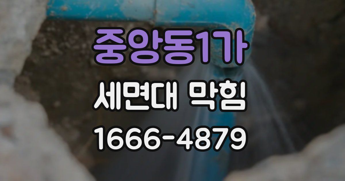 중앙동1가 세면대 막힘
