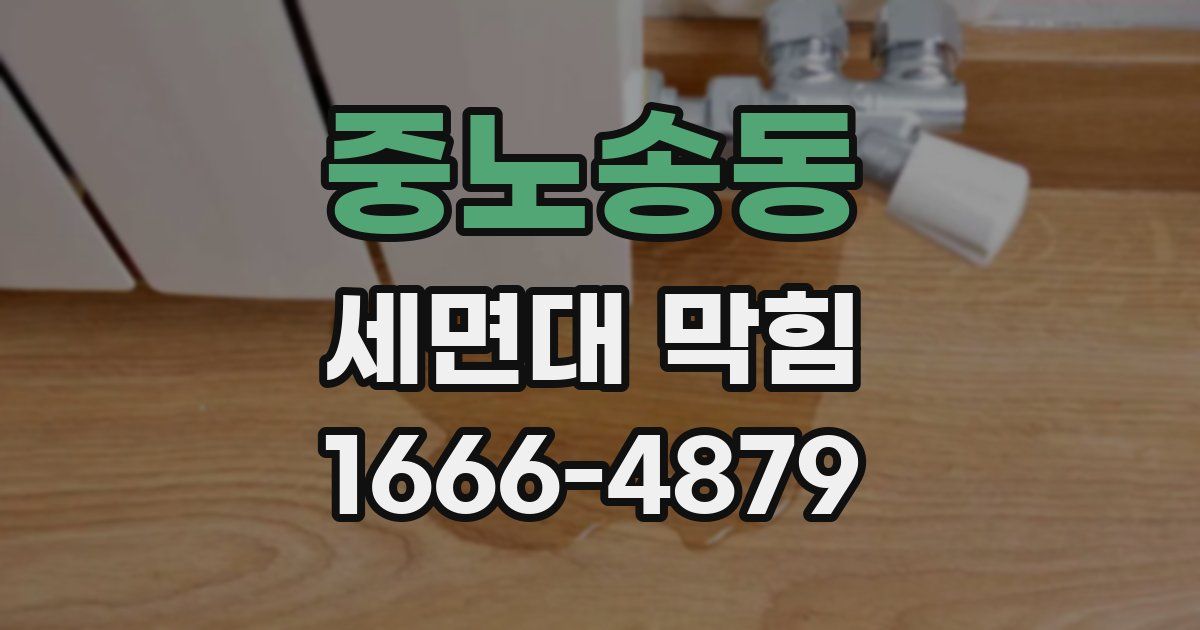 중노송동 세면대 막힘