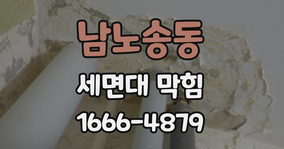남노송동 세면대 막힘