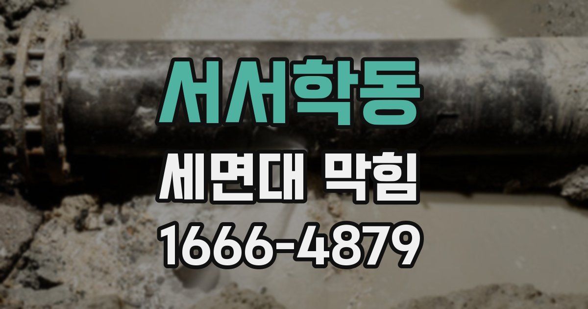 서서학동 세면대 막힘