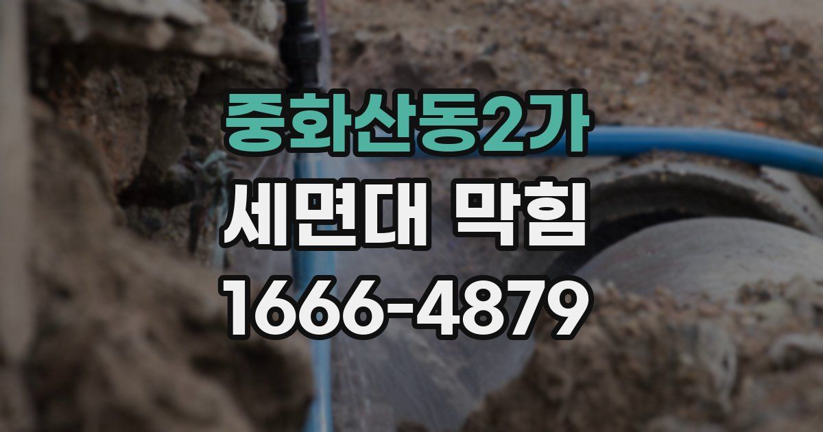 중화산동2가 세면대 막힘