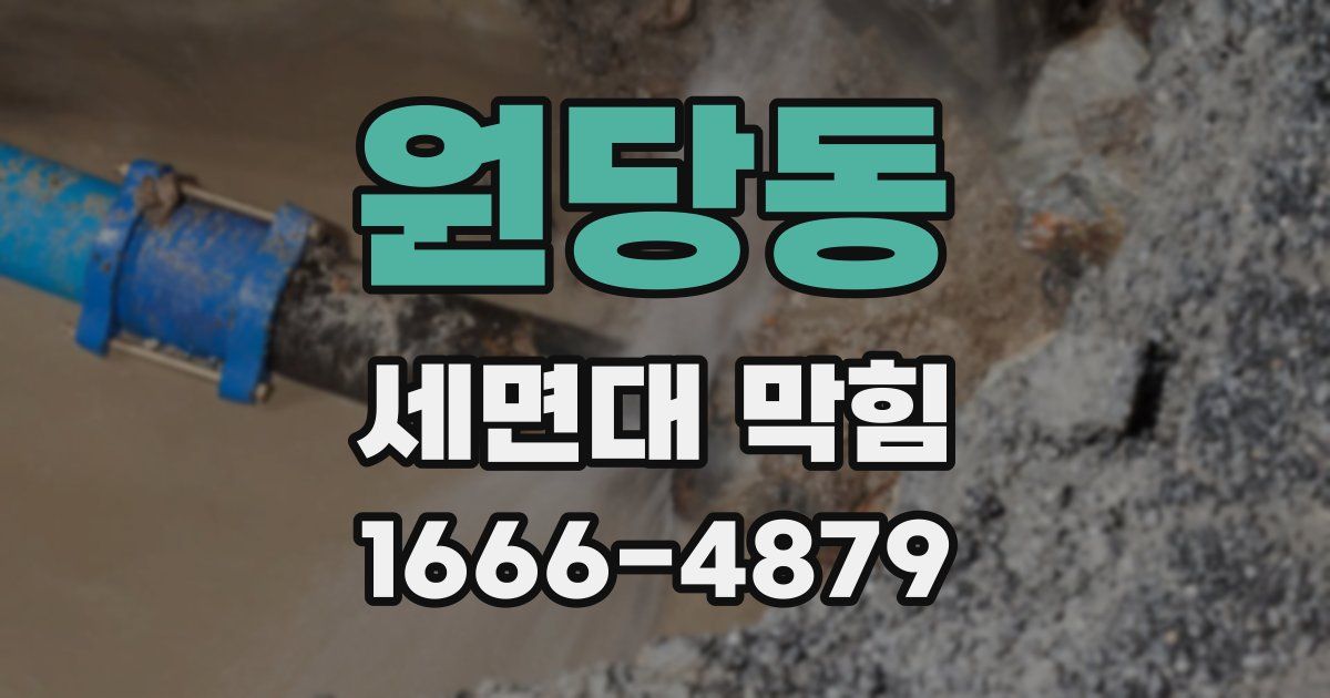 원당동 세면대 막힘