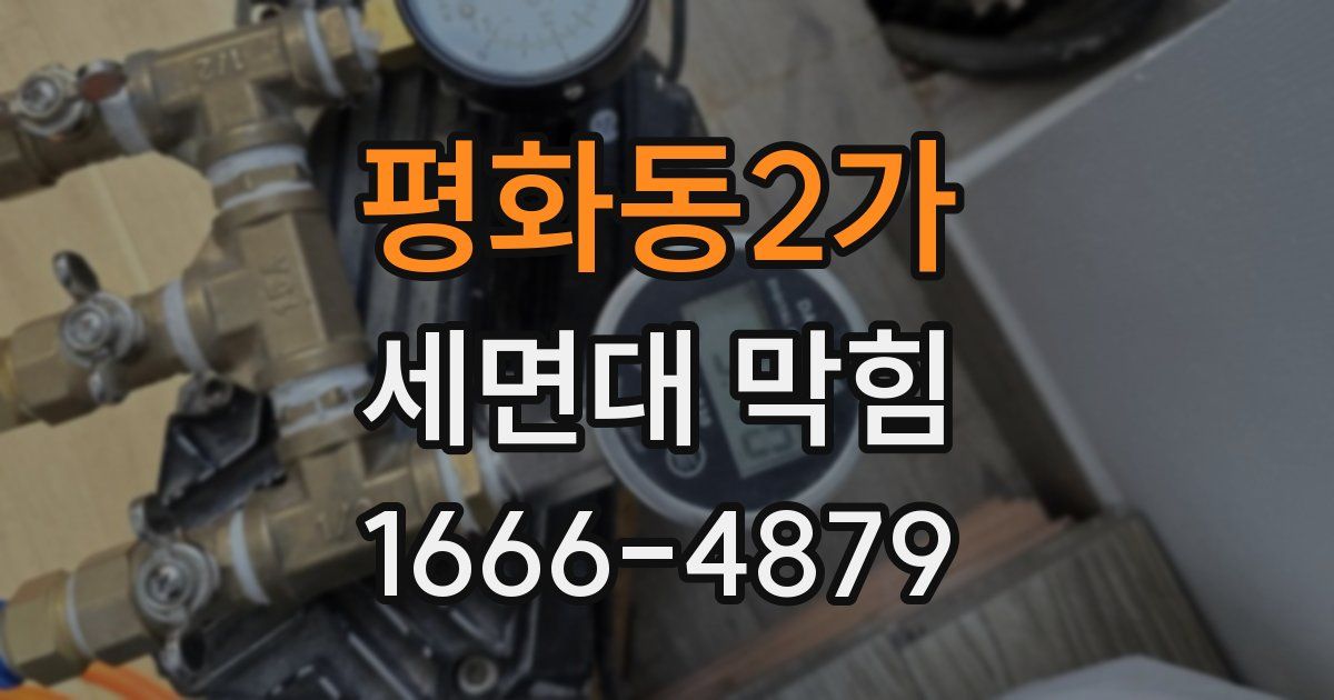 평화동2가 세면대 막힘