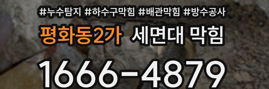 평화동2가 세면대 막힘