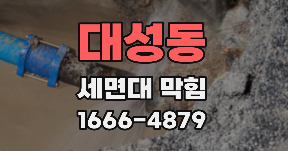 대성동 세면대 막힘