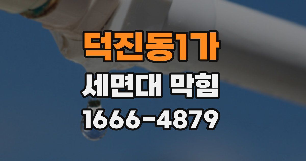 덕진동1가 세면대 막힘