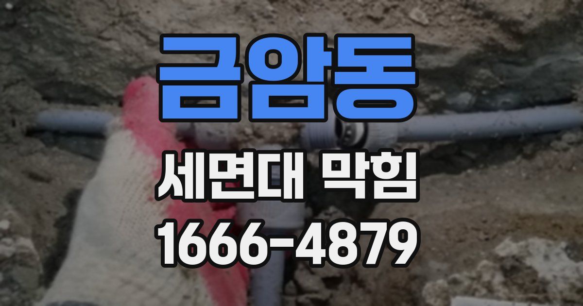 금암동 세면대 막힘