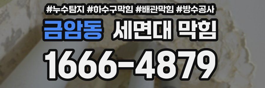 금암동 세면대 막힘