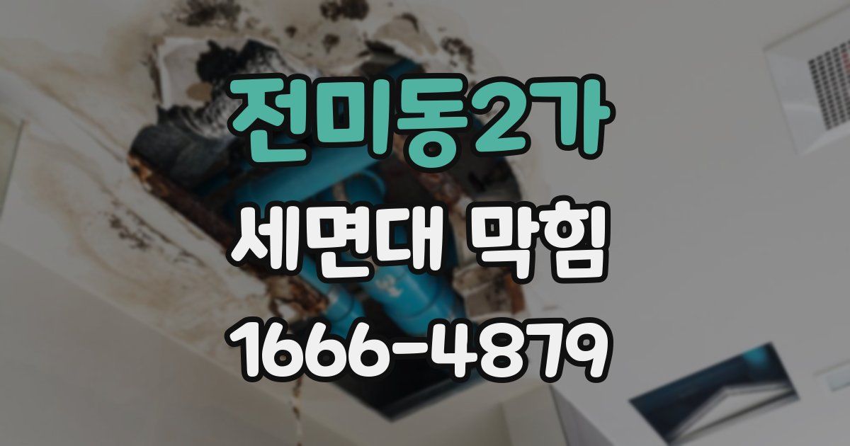 전미동2가 세면대 막힘