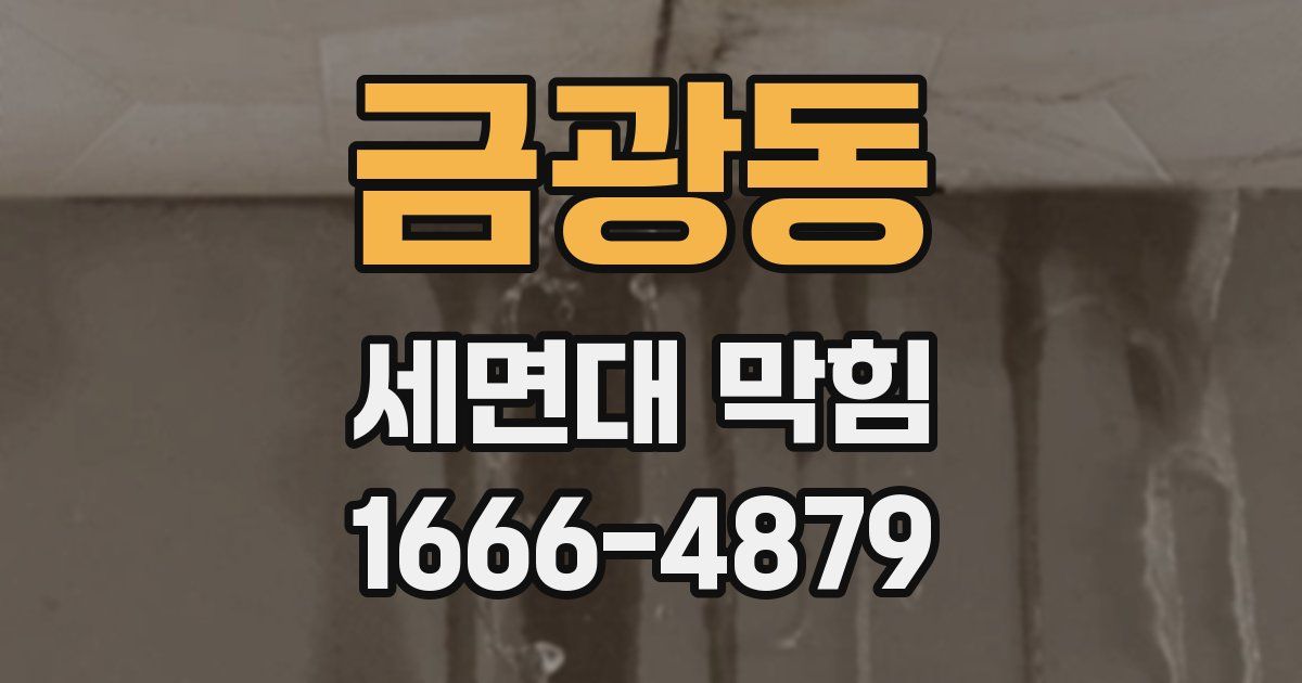 금광동 세면대 막힘