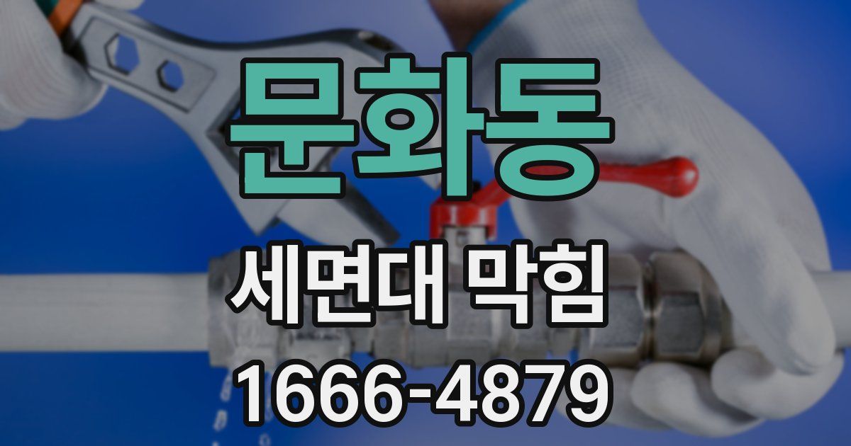 문화동 세면대 막힘