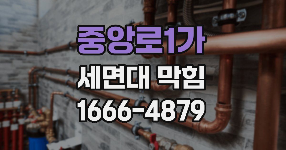 중앙로1가 세면대 막힘