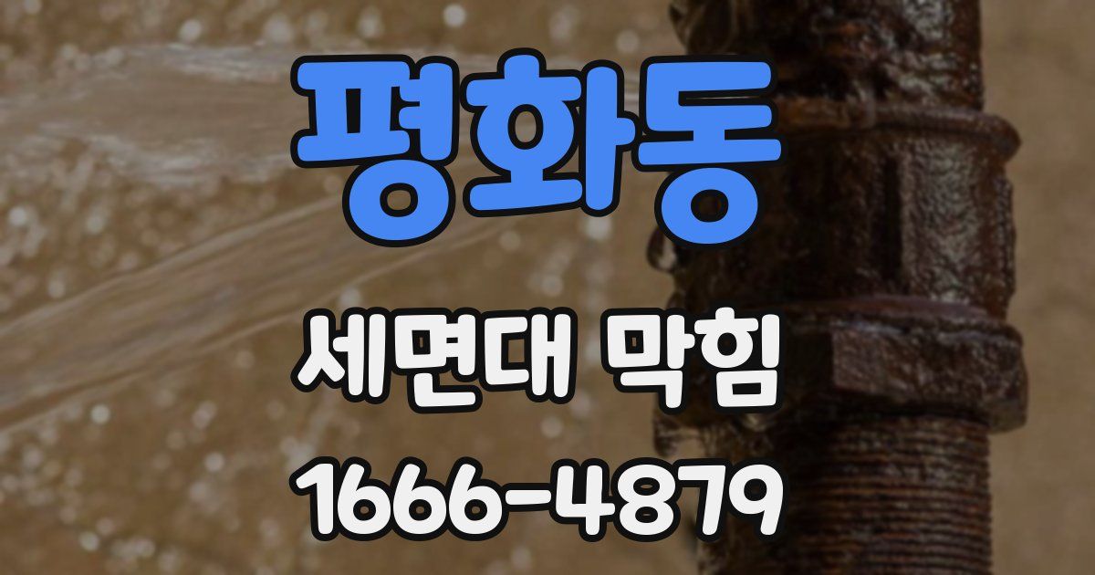 평화동 세면대 막힘