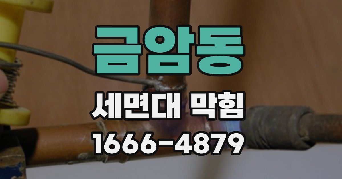 금암동 세면대 막힘