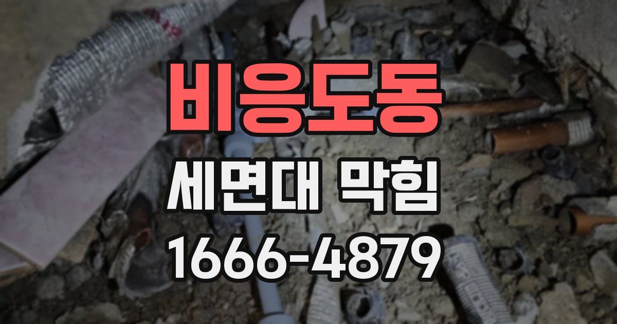 비응도동 세면대 막힘