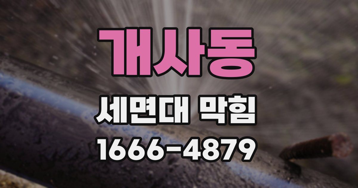 개사동 세면대 막힘