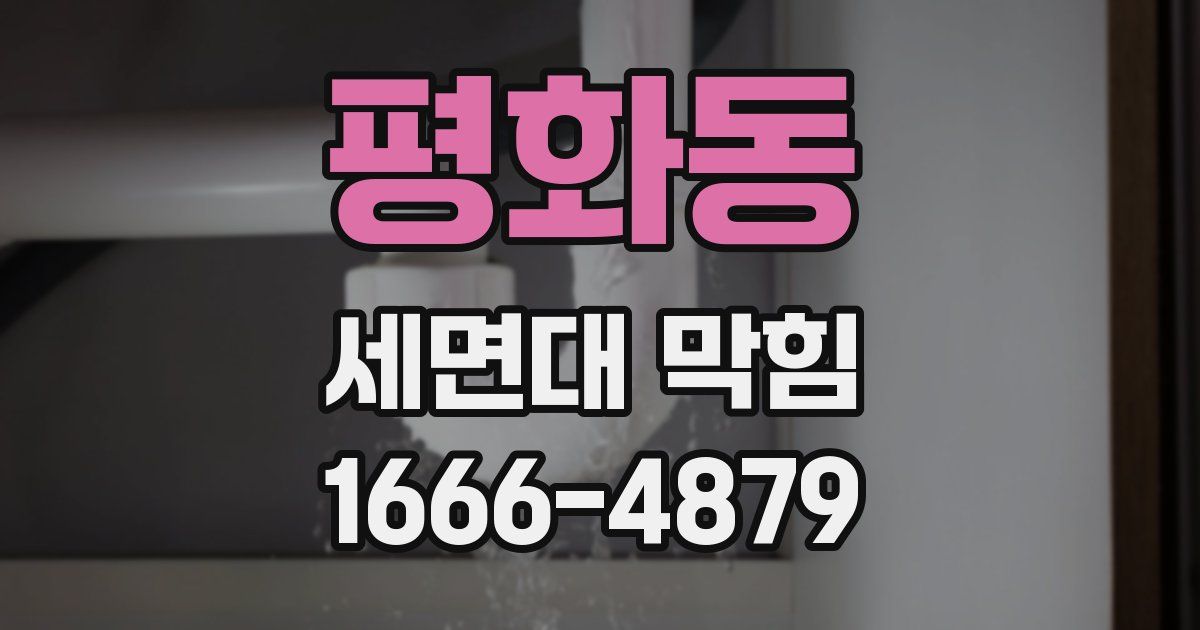 평화동 세면대 막힘