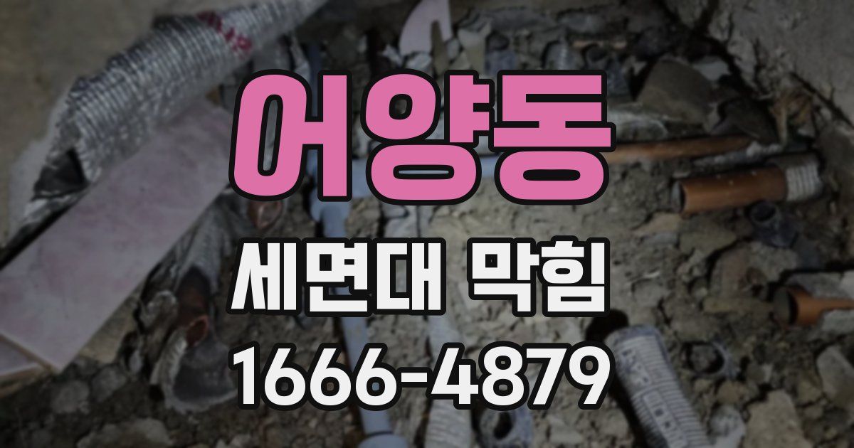 어양동 세면대 막힘