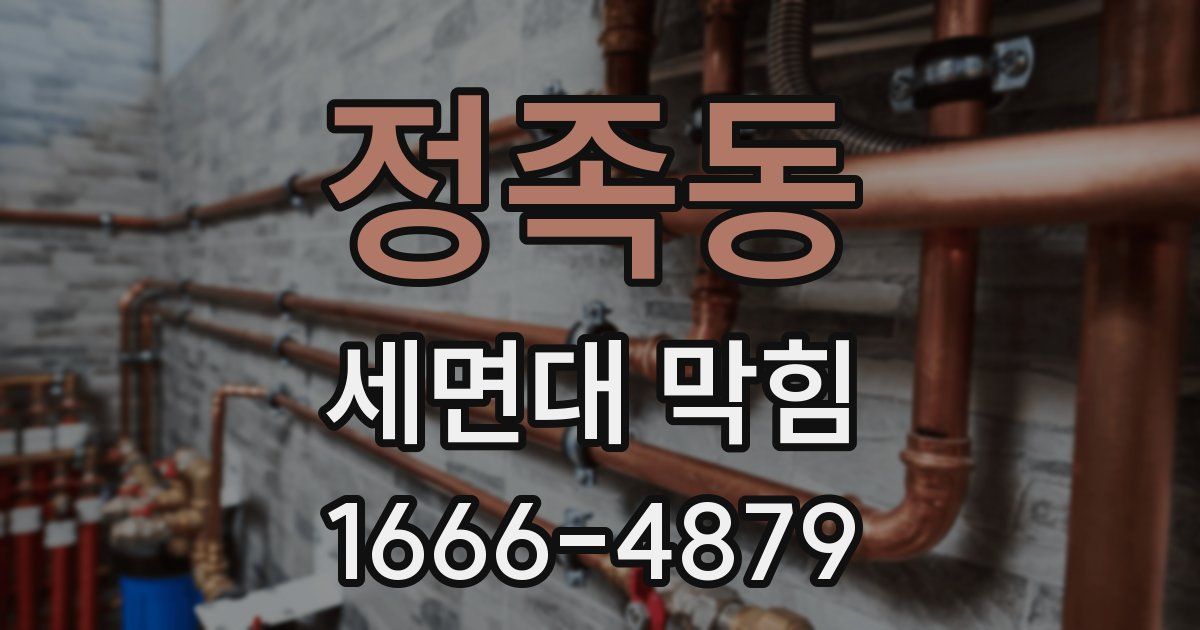 정족동 세면대 막힘