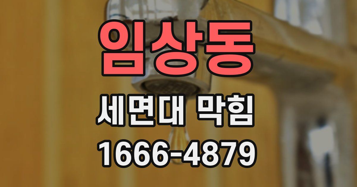 임상동 세면대 막힘