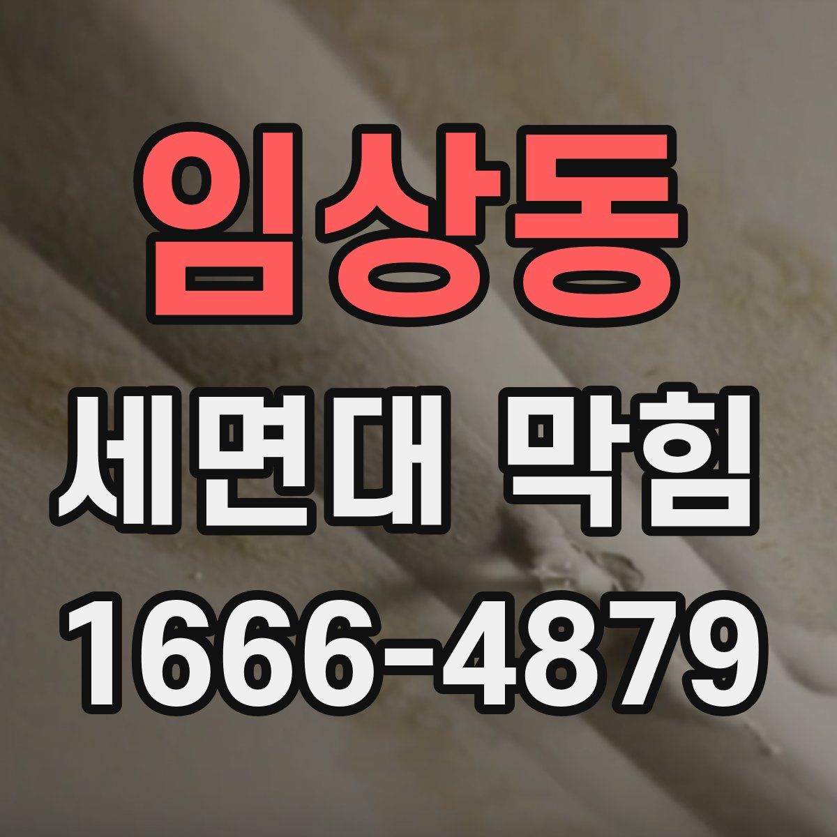 임상동 세면대 막힘
