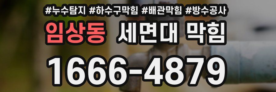 임상동 세면대 막힘