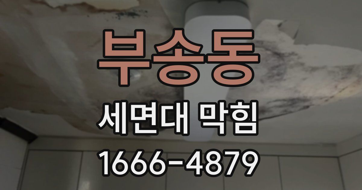 부송동 세면대 막힘