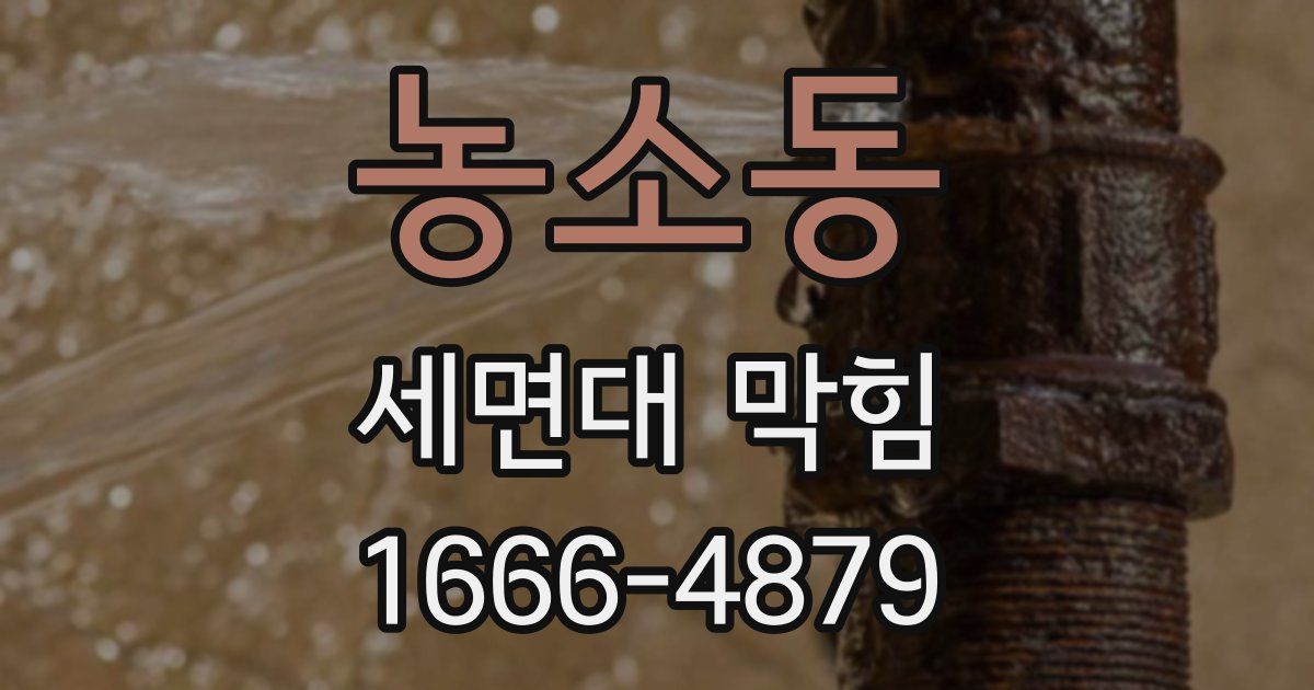 농소동 세면대 막힘