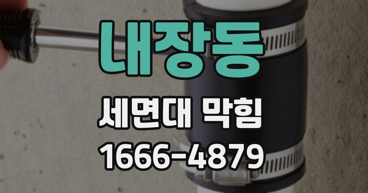 내장동 세면대 막힘